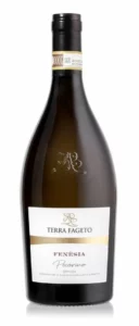 Terra Fageto Fenesia