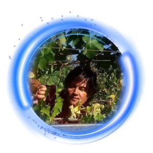 Cantina Terra Libera